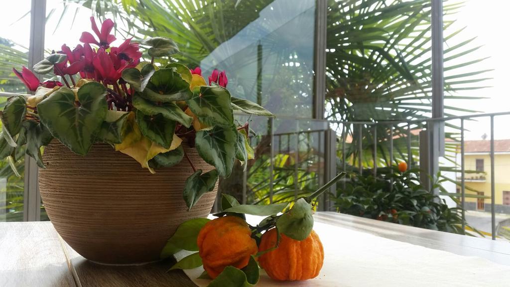 La Corte Sul Naviglio Boffalora sopra Ticino Kültér fotó